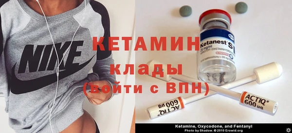 шишки Абаза