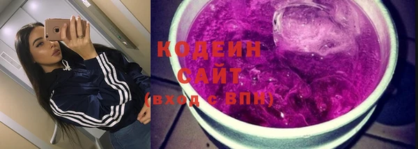 шишки Абаза