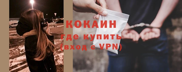spice Каменка