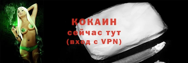 шишки Абаза
