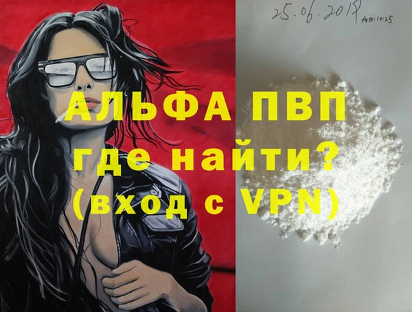 шишки Абаза