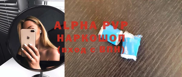 шишки Абаза
